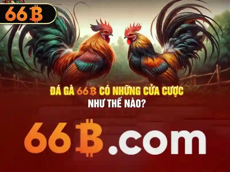 Đánh giá hiệu năng