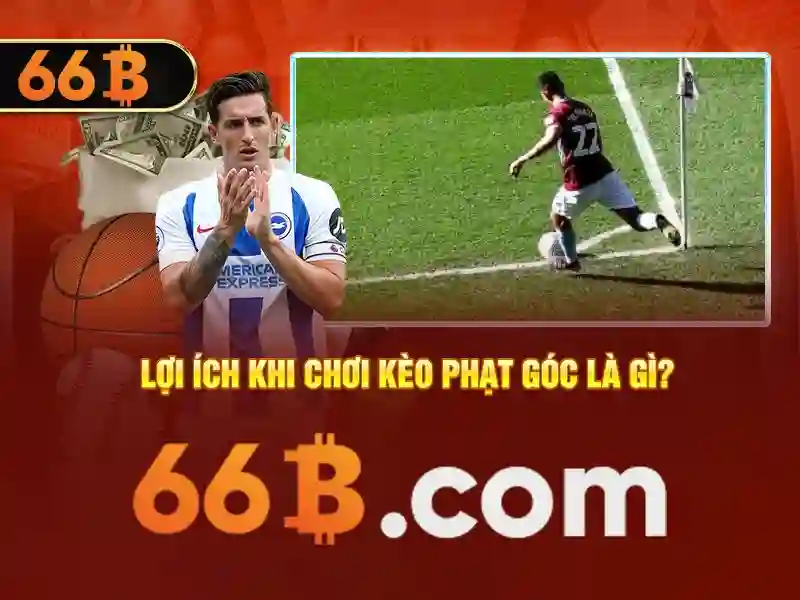 Kiến trúc và tham số của 66b