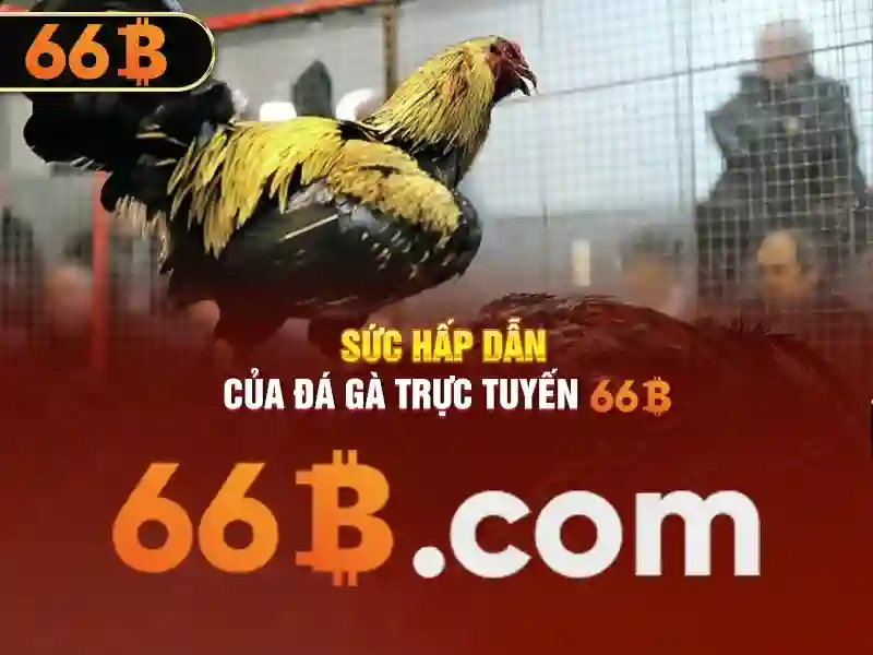 66b: Khám phá một khái niệm và ứng dụng
