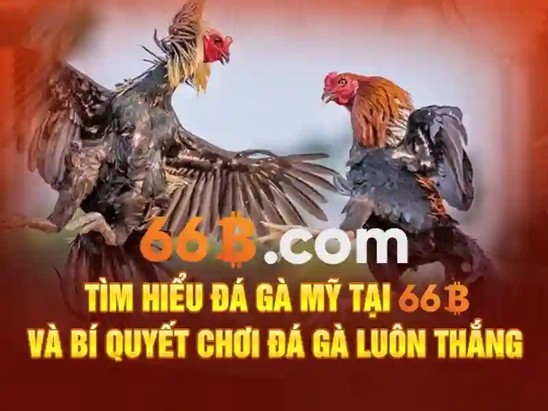 Kiến trúc và cách hoạt động của 66b