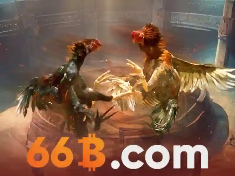 Khái niệm 66b