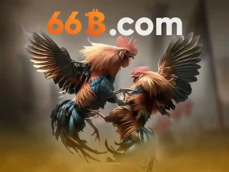 Tiềm năng tương lai và thách thức của 66b