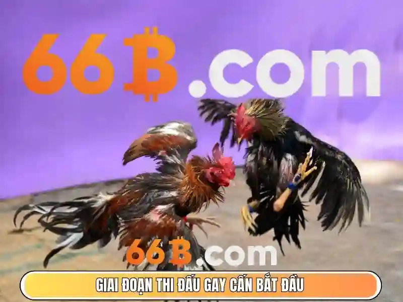 66b-esport-chien-luoc