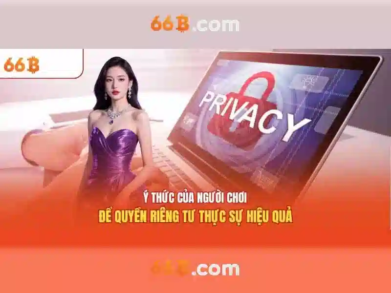 66B và vai trò của nó