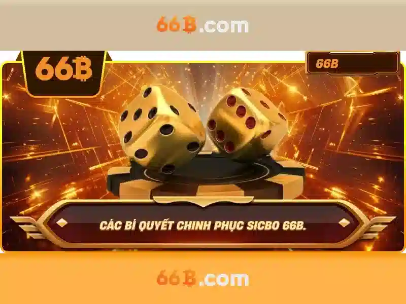 Giới thiệu về 66B