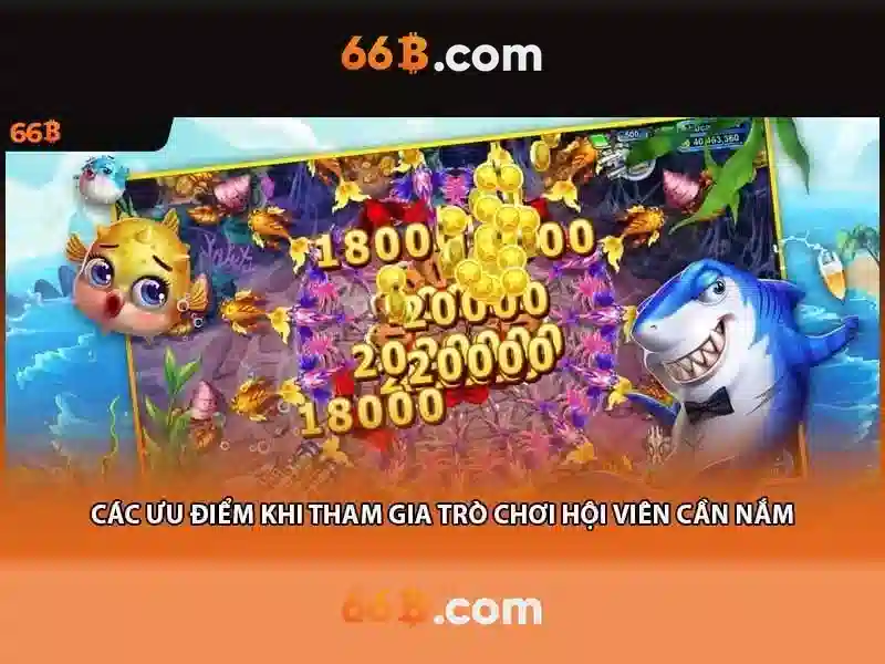 66b và bối cảnh