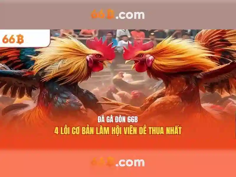 66b là một hệ sao giả định