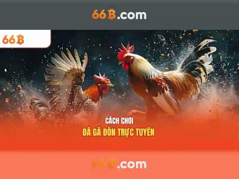 Cách mà 66b hoạt động