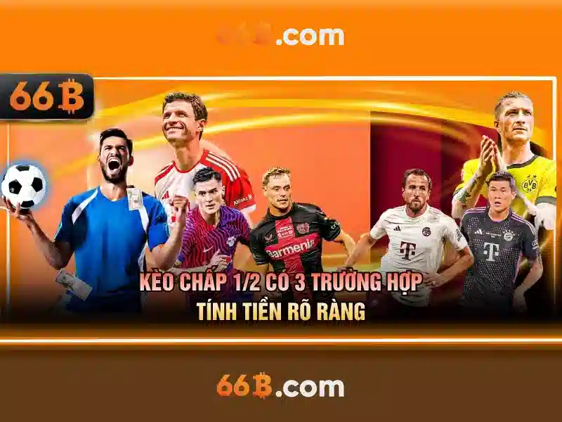 66B: Mô hình ngôn ngữ quy mô lớn và những điều cần biết