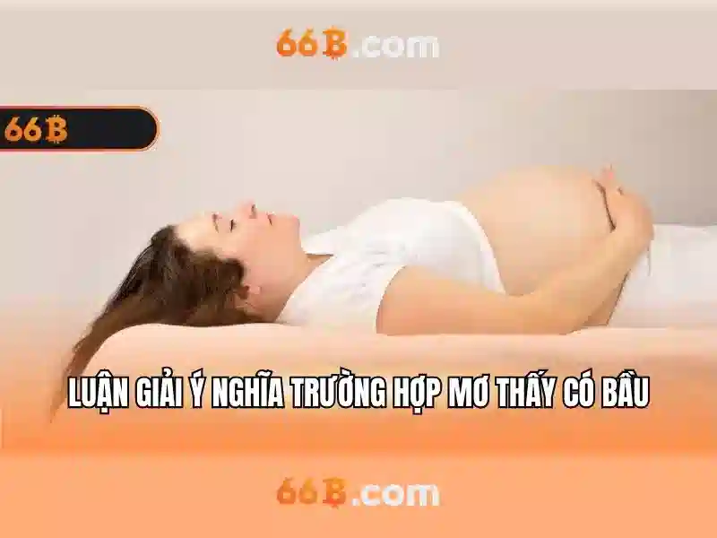 66B là gì?