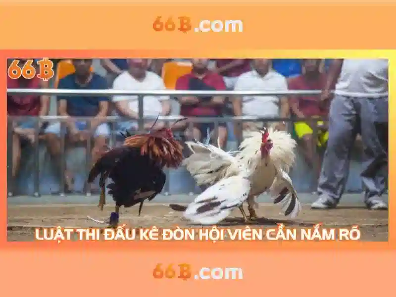 66B: Mô hình ngôn ngữ lớn 66B – Tổng quan và ứng dụng