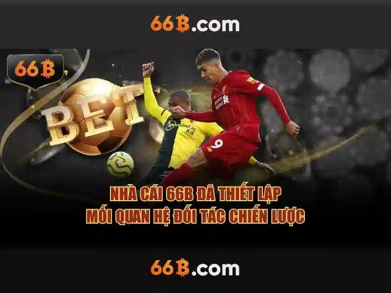 66b là gì và các ứng dụng