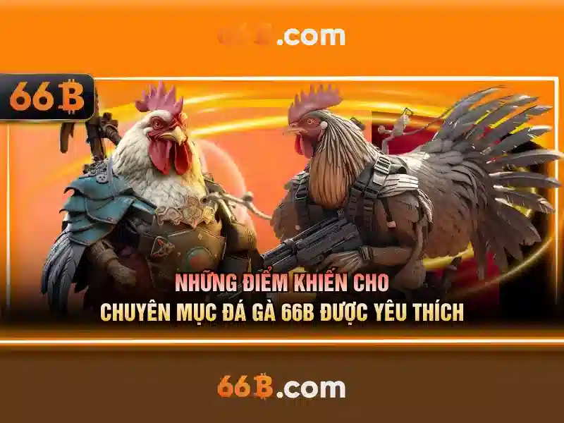 Khái niệm về 66B