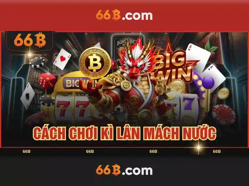 66b là gì