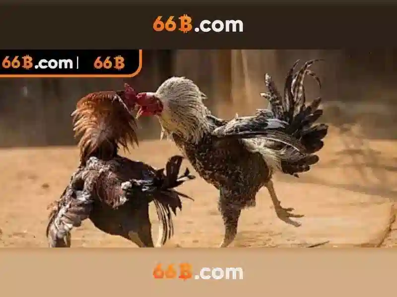 Cấu hình và tham số của 66b