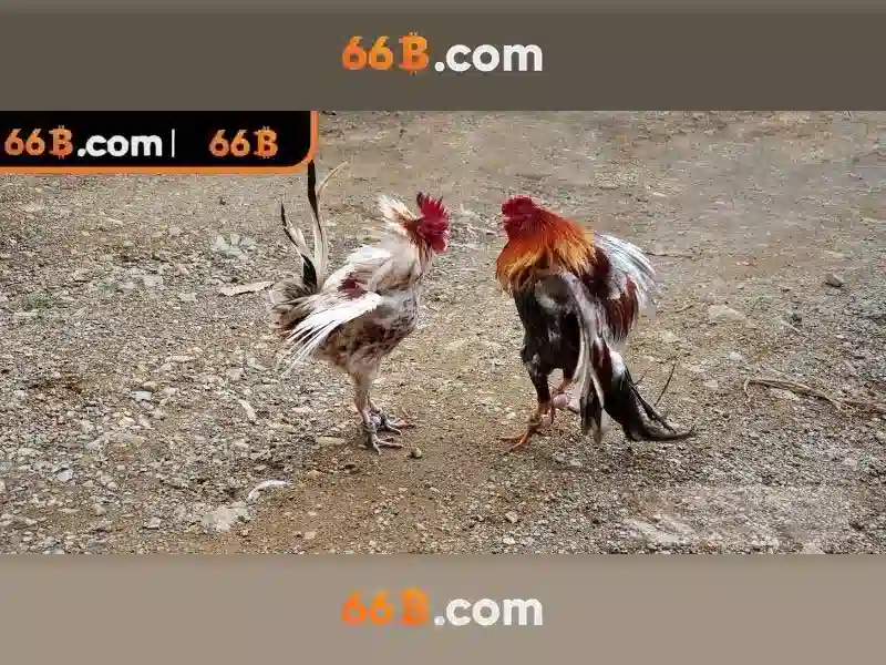 66b: Mô hình ngôn ngữ lớn 66 tỉ tham số