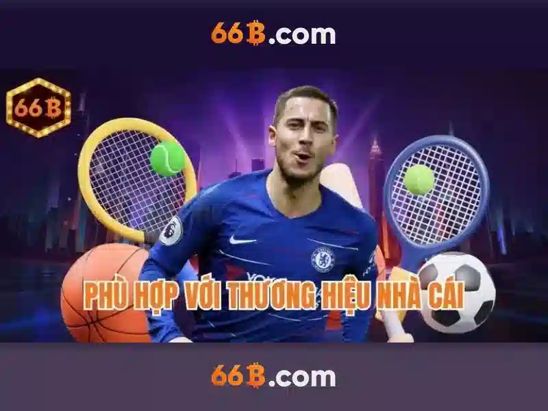 66b trong tương lai và xu hướng mở rộng