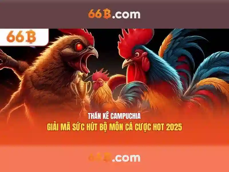 66B là gì?