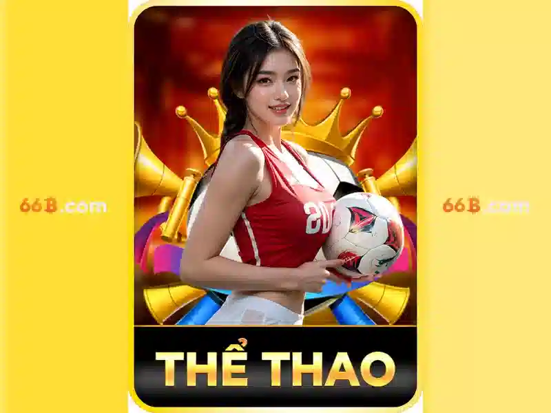 66b: khái niệm và hành trình khám phá