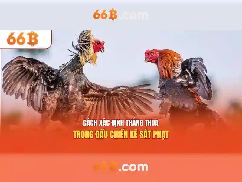 Định nghĩa và bối cảnh lịch sử