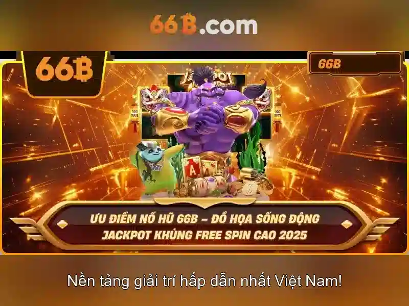 66b là gì
