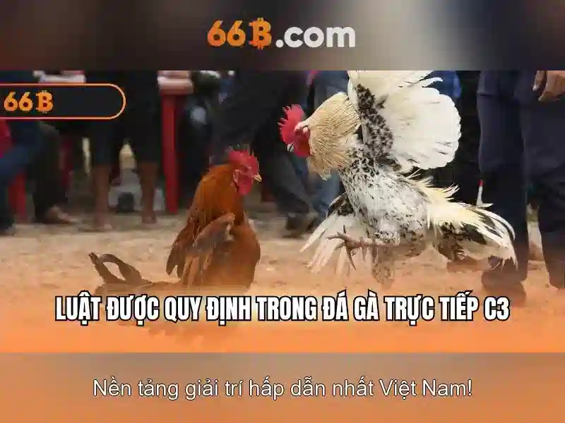 Kham pha 66b: y nghia va ung dung trong the gioi hien dai