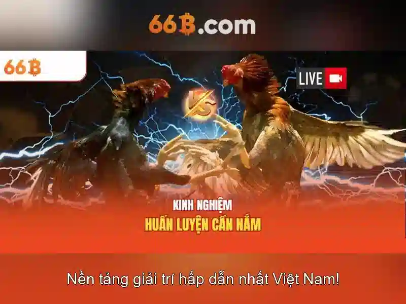 Nguồn gốc và ý nghĩa