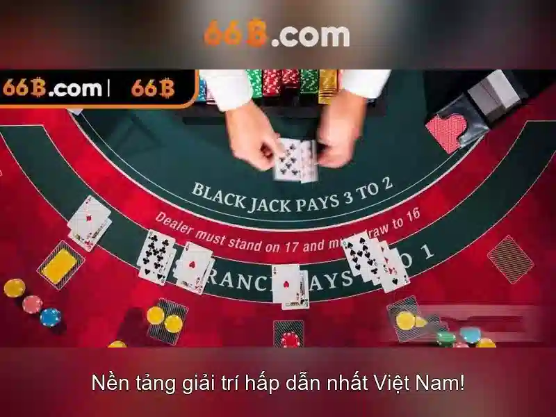 66B là gì?