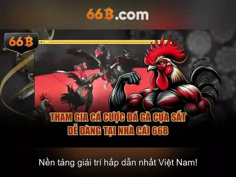 66b trong khoa hoc du lieu