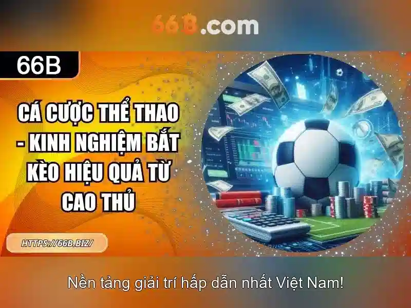 66B là gì?