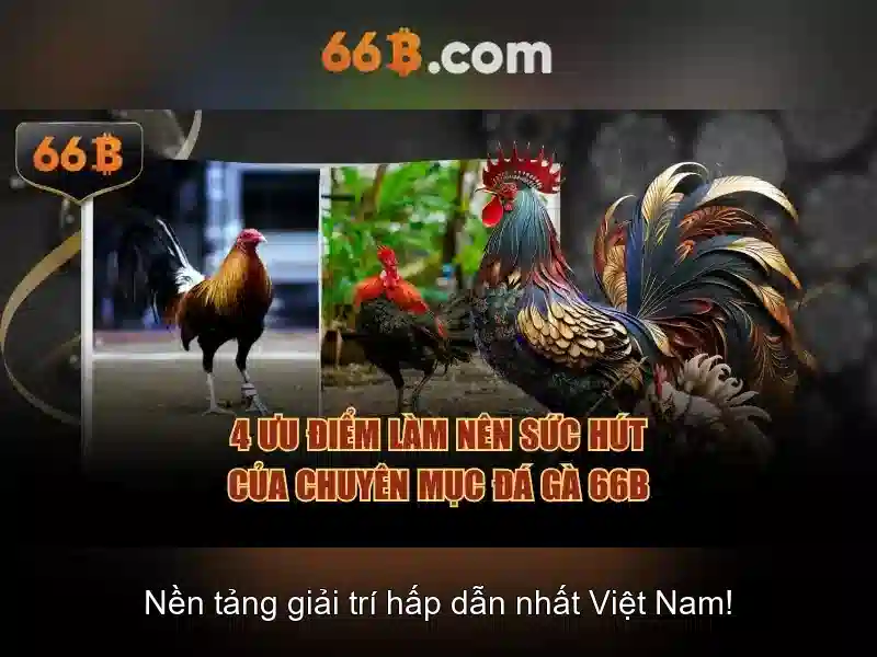Phân loại và ứng dụng