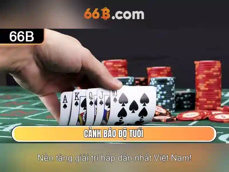 Kết luận