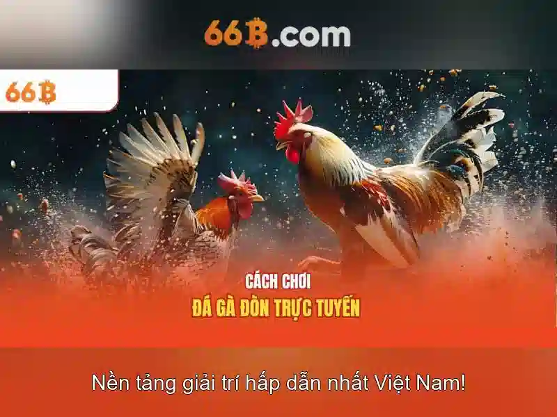 66b: Khái niệm, ứng dụng và tiềm năng của mô hình 66b