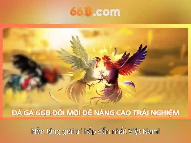 66b là gì và vì sao nó quan trọng