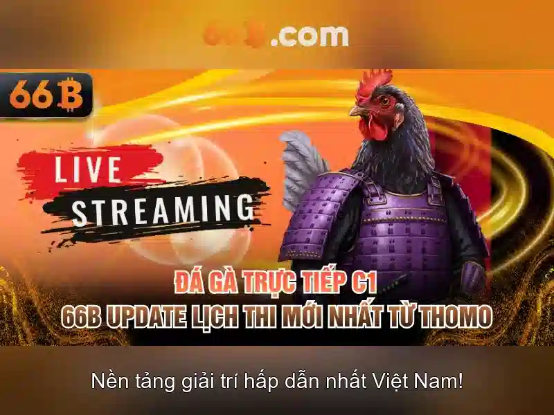 66B: Khái niệm, sức mạnh và ứng dụng