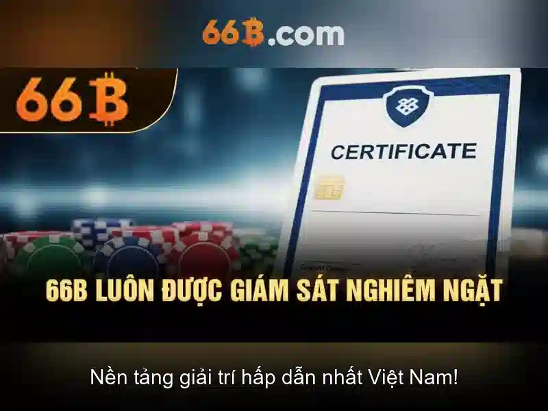 66B: Khái niệm, cấu trúc và ứng dụng