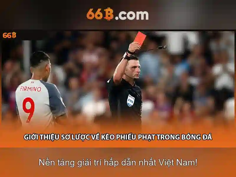 66B là gì? Khám phá một khái niệm trong khoa học và công nghệ