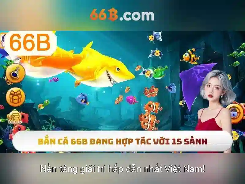 66B là gì và vì sao nó được chú ý