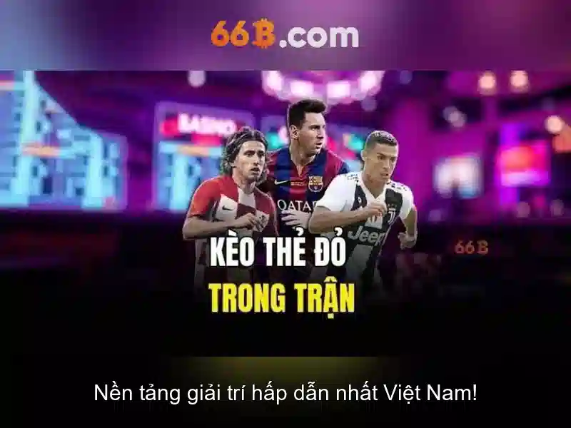 Giới thiệu về 66b 