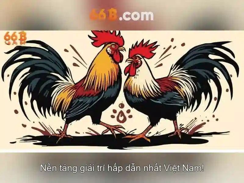 66b: hành trình khám phá và ý nghĩa