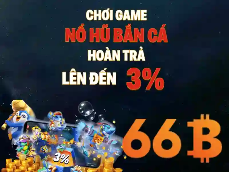 66B là gì?