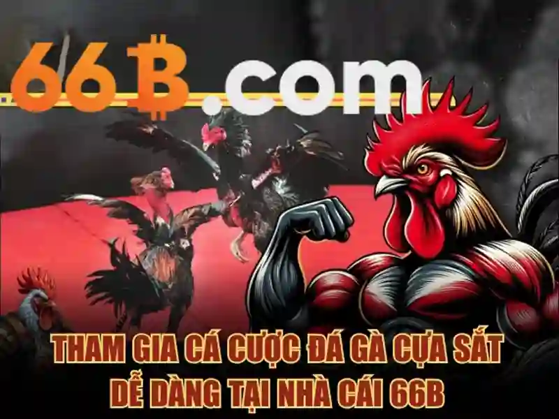 66b: Khái niệm, công nghệ và tiềm năng