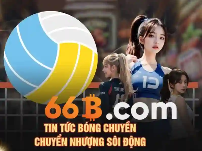 66B là gì?