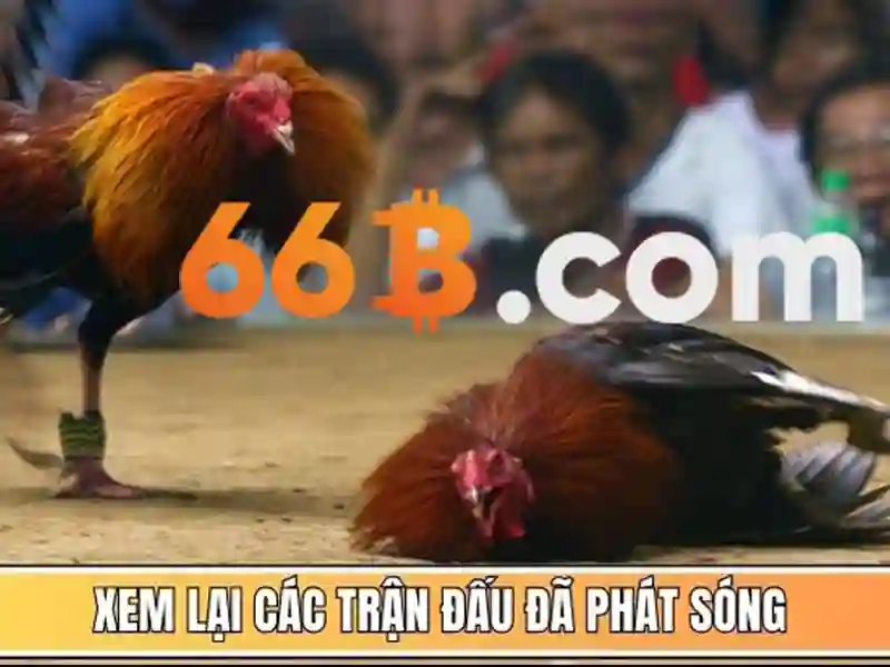 Kiến trúc và tham số