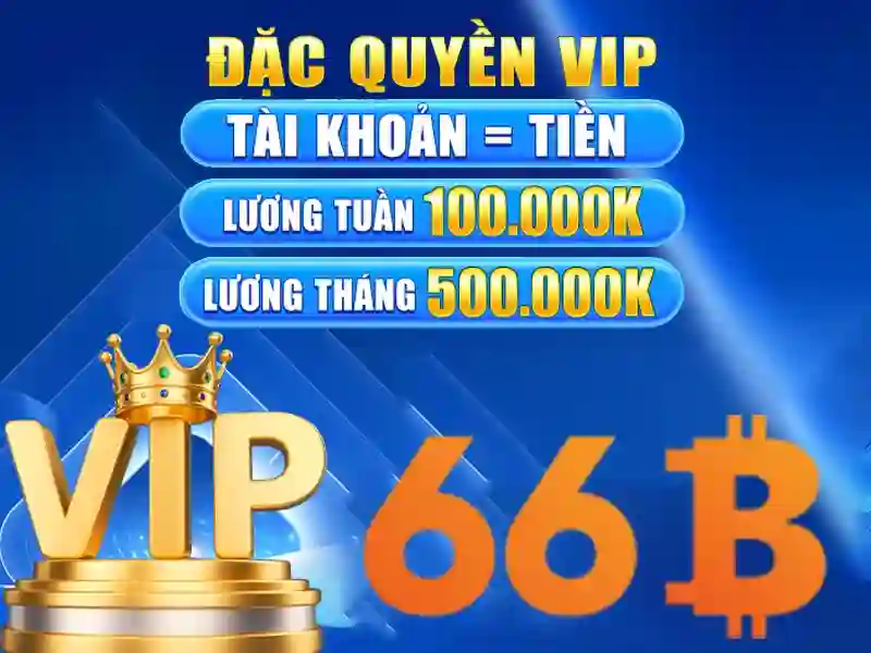66b là gì