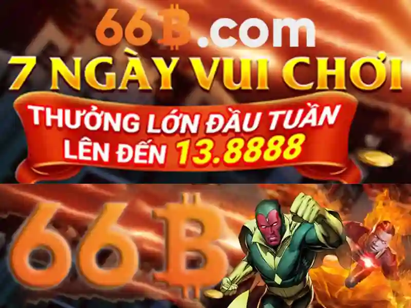66B là gì?