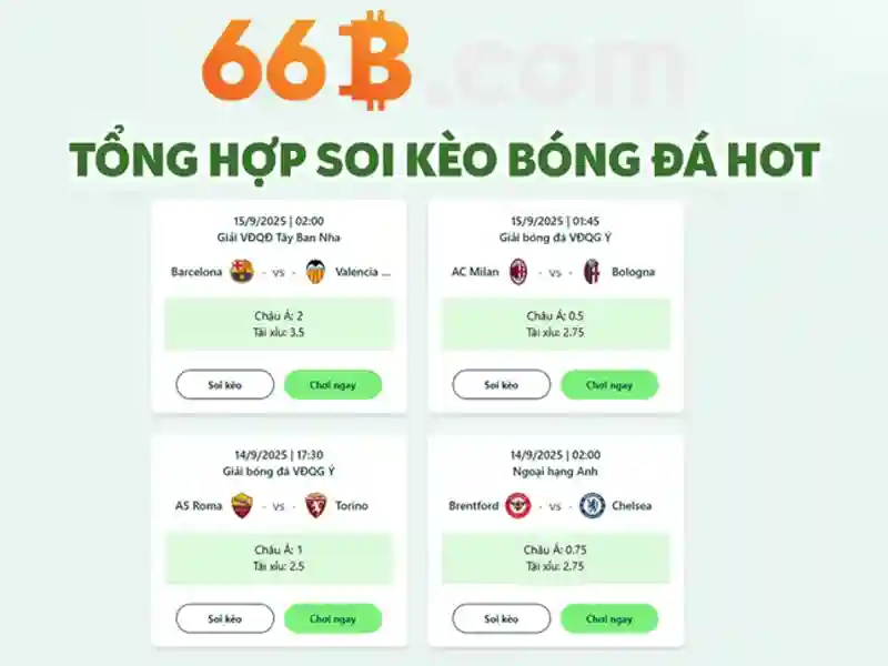 66 tỷ tham số: Mô hình ngôn ngữ 66B và những tiềm năng